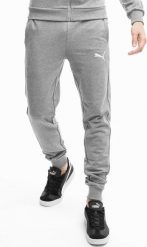 Puma Spodnie męskie Puma Team Goal Casuals szare 658598 33 XL. Szare spodnie sportowe męskie Puma, m, bez wzorów. Za 171.82 zł.