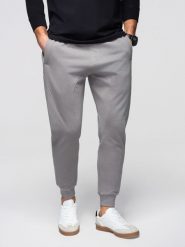 Męskie spodnie dresowe ze ściągaczem przy nogawce BASIC jogger - szare V8 - Rozmiar: M. Szare spodnie sportowe męskie Ombre Clothing, m, z aplikacjami, z bawełny, trekkingowe. W wyprzedaży za 118.99 zł.