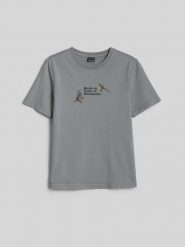 4F T-shirt loose z nadrukiem damski - szary S. Szare t-shirty damskie 4F, m, bez wzorów, z bawełny, klasyczne, bez kołnierzyka, bez ramiączek. Za 79.99 zł.