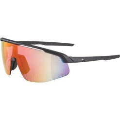Okulary przeciwsłoneczne Alpina Turbo Pro Q-Lite. Czarne okulary przeciwsłoneczne damskie Alpina. Za 349.99 zł.