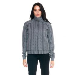 Damska bluza z golfem Leone zapinana na zamek błyskawiczny w kolorze szarym. Brązowe bluzy damskie LEONE 1947 APPAREL, l, bez wzorów, z tkaniny, sportowe, bez ramiączek, bez kaptura. W wyprzedaży za 167.70 zł.