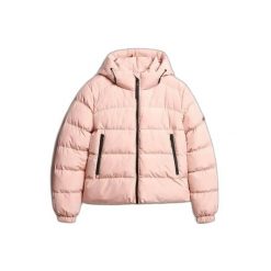 Damska kurtka z kapturem Superdry. Czerwone kurtki sportowe damskie Superdry, bez wzorów, z puchu, bez ramiączek, z kapturem. Za 556.95 zł.