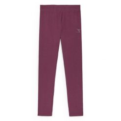 Legginsy damskie DIADORA L.LEGGINGS CORE. Fioletowe legginsy damskie Diadora, bez wzorów. Za 49.99 zł.