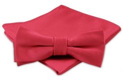 Modna Mucha Męska - Alties - Czerwona. Czerwone krawaty i muchy Alties, bez wzorów, eleganckie. Za 54.00 zł.