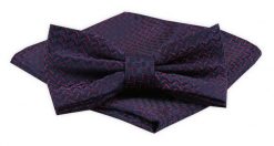 Mucha Męska z Poszetką Alties - Drobny Wzór, Granatowa. Niebieskie krawaty i muchy Alties, bez wzorów, eleganckie. Za 54.00 zł.