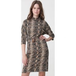 Beżowa Sukienka Paloma. Brązowe sukienki damskie Born2be, l, bez wzorów, z materiału, bez kołnierzyka, bez ramiączek, mini. Za 99.99 zł.