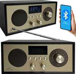 Radio przenośne Brda FM/BT/USB akum.2200mAh,10W,ładowanie indukcyjne telefonu,czarno-złote. Czarne głośniki przenośne LTC. Za 126.14 zł.
