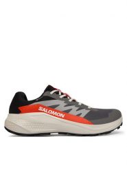 Salomon Buty do biegania Alphaglide Gore-Tex L47975300 Szary. Szare buty sportowe męskie Salomon, bez wzorów, z gore-texu, bez zapięcia, do biegania, gore-tex. Za 509.99 zł.
