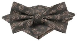 Mucha Męska w Zestawie z Poszetką - Alties - Popiel i Brąz, Paisley. Szare krawaty i muchy Alties, bez wzorów, eleganckie. Za 65.00 zł.