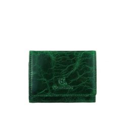Mały portfel damski Canaletto ze skóry naturalnej licowej – elegancja i funkcjonalność PD2001s257. Zielone portfele damskie ze skóry. Za 148.20 zł.