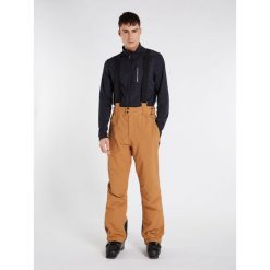 Spodnie męskie Protest PRTSARDIS snowpants. Brązowe spodnie sportowe męskie Protest, m, bez wzorów, narciarskie. Za 399.00 zł.