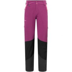 Spodnie trekkingowe damskie Viking Trek Pro 2.0. Czarne spodnie sportowe damskie Viking, na lato, bez wzorów, sportowe, trekkingowe. W wyprzedaży za 492.92 zł.