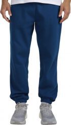 4f Spodnie męskie 4F CAS M1140 niebieskie 4FWMM00TTROM1140 46S XL. Niebieskie spodnie sportowe męskie 4F, m, bez wzorów. Za 118.68 zł.