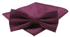 Mucha Męska z Poszetką w Zestawie - Alties - Czerwień w Drobny Wzór. Czerwone krawaty i muchy Alties, bez wzorów, eleganckie. Za 54.00 zł.