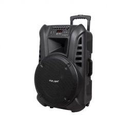 Kolumna aktywna 2 mikrofony, Bluetooth, aku. Głośniki przenośne No Name. Za 890.99 zł.