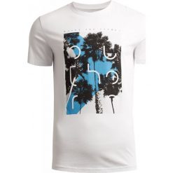 T-shirt męski TSM625 - biały - Outhorn. Białe t-shirty męskie Outhorn, m, bez wzorów, bez kołnierzyka, bez ramiączek. W wyprzedaży za 19.99 zł.