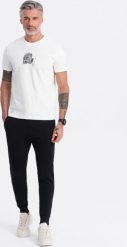 Ombre Męskie spodnie dresowe typu jogger - czarne V5 OM-PABS-0173 L. Czarne spodnie sportowe męskie Ombre, l, bez wzorów, z dresówki. Za 89.99 zł.