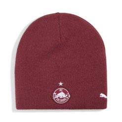 Czapka dwustronna FC Red Bull Salzburg PUMA Flat Dark Gray Team Regal Red. Czerwone czapki damskie Puma, bez wzorów, sportowe. Za 109.00 zł.