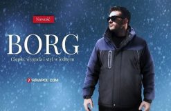 Kurtka męska R.E.I.S. BORG - Kurtka męska ochronna ocieplana odblaski zamek błyskawiczny napy stójka odsuwany kaptur z polarową podszewką 100% poliest. Brązowe kurtki męskie R.E.I.S., m, bez wzorów, z polaru, bez kaptura. Za 127.82 zł.