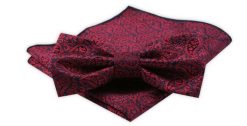 Zestaw: Mucha z Poszetką - Alties - Czerwona, Wzór Paisley. Czerwone krawaty i muchy Alties, bez wzorów, eleganckie. Za 54.00 zł.