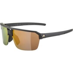Okulary przeciwsłoneczne Alpina SWIFT HR. Czarne okulary przeciwsłoneczne damskie Alpina. Za 241.50 zł.