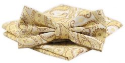 Mucha Męska Alties z Poszetką - Odcienie Złota, Paisley. Żółte krawaty i muchy Alties, bez wzorów, eleganckie. Za 54.00 zł.