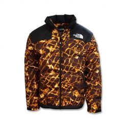 Kurtka uniwersalna damska The North Face NF0A3Y23OS3. Brązowe kurtki sportowe damskie The North Face, m, bez wzorów, z syntetyku, bez ramiączek, bez kaptura, trekkingowe. Za 1,147.00 zł.