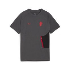 Młodzieżowa koszulka AC Milan PUMATECH z kieszenią PUMA. Czerwona bluzki damskie Puma, m, bez wzorów, młodzieżowe, bez kołnierzyka, bez ramiączek. Za 179.00 zł.