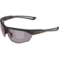 Okulary przeciwsłoneczne Alpina Nylos HR. Szare okulary przeciwsłoneczne damskie Alpina. Za 129.99 zł.