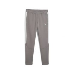 Młodzieżowe spodnie Evostripe PUMA Cast Iron Gray. Szara spodnie sportowe damskie Puma, bez wzorów, klasyczne, z standardowym stanem, trekkingowe. W wyprzedaży za 114.00 zł.