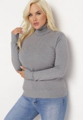 Szary Sweter z Golfem Sazerna w Składzie Wiskoza i Modal. Szare swetry nierozpinane damskie Born2be, l, bez wzorów, z dzianiny, bez kołnierzyka, bez ramiączek. Za 59.99 zł.