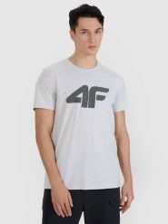 4F T-shirt regular z nadrukiem męski - szary M. Szare t-shirty męskie 4F, m, bez wzorów, z bawełny, bez kołnierzyka, bez ramiączek. Za 49.99 zł.