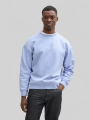 Męska Bluza Tom Tailor Relaxed Printed Crewneck Brunnera Blue 1045579 11486. Niebieskie bluzy męskie Tom Tailor, l, bez wzorów, bez ramiączek, bez kaptura. Za 119.99 zł.