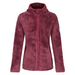 Bluza Termoaktywna Damska Torrek Mountain Pro Midlayer. Fioletowe bluzy damskie Dare 2B, xl, bez wzorów, sportowe, bez ramiączek, bez kaptura. Za 204.99 zł.