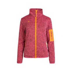 Kurtka polarowa damska termiczna SAMAUN W V3 z wysokim kołnierzem i kieszeniami. Brązowe kurtki sportowe damskie IZAS, m, bez wzorów, z dzianiny, bez ramiączek, bez kaptura, trekkingowe. Za 269.52 zł.