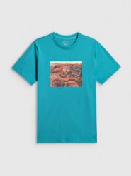 4F T-shirt regular z nadrukiem męski - turkusowy L. Niebieskie t-shirty męskie 4F, l, bez wzorów, z materiału, bez kołnierzyka, bez ramiączek. Za 79.99 zł.