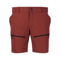 Spodenki trekkingowe damskie Whistler Avatar. Brązowe szorty damskie Whistler, bez wzorów, sportowe. Za 179.99 zł.