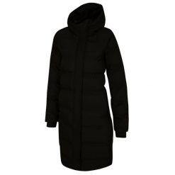 Kurtka turystyczna damska Wander ocieplana. Czarne kurtki sportowe damskie Dare 2B, na zimę, l, bez wzorów, z materiału, bez ramiączek, z kapturem, trekkingowe. Za 299.99 zł.