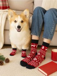 Zestaw: Skarpetki dla psa i właściciela - czerwony. Czerwone skarpety męskie Sinsay, bez wzorów. Za 15.99 zł.