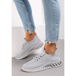 Szare Buty Sportowe Eudiopis. Szare obuwie sportowe damskie Renee, z aplikacjami, z okrągłym noskiem, bez zapięcia. Za 39.99 zł.