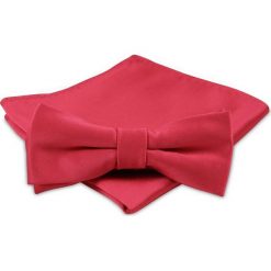 Modna Mucha Męska - Alties - Czerwona. Czerwone krawaty i muchy Alties, bez wzorów, eleganckie. Za 40.00 zł.