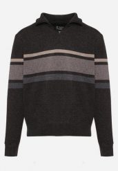 Ciemnoszary Sweter Golf z Wełną Zapinany na Suwak przy Dekolcie Dailaia. Szare swetry męskie Born2be, na zimę, m, bez wzorów, z wełny, bez kołnierzyka, bez ramiączek. Za 89.99 zł.