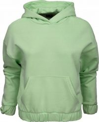 4f Bluza damska 4F jasna zieleń 4FSS23TSWSF255 42S XL. Zielone bluzy damskie 4F, s, bez wzorów, bez ramiączek, bez kaptura. Za 153.29 zł.