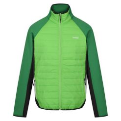 Męska Kurtka Hybrydowa Clumber IV Full Zip. Brązowe kurtki męskie Regatta, m, bez wzorów, z puchu, sportowe, bez kaptura. Za 122.99 zł.