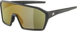 Okulary przeciwsłoneczne Alpina Ram Q-Lite. Czarne okulary przeciwsłoneczne damskie Alpina, prostokątne. Za 441.95 zł.