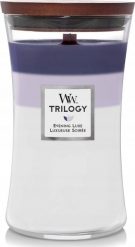 WoodWick WW TRILOGY DUŻY ZMIESZANY ZEGAREK WIECZÓR LUKSUS Kvepalai Unisex. Zegarki męskie WoodWick, bez wzorów. Za 127.76 zł.