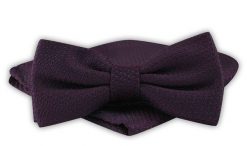 Mucha Męska z Poszetką - Alties - Bardzo Ciemne Bordo i Granat. Krawaty i muchy Alties, bez wzorów, eleganckie. Za 54.00 zł.