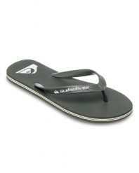 Klapki dla Mężczyzn MOLOKAI CORE Beżowy. Brązowe klapki męskie Quiksilver, bez wzorów, z gumy, bez zapięcia. Za 84.99 zł.