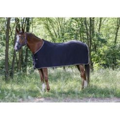 Koszula z koniem Riding World Polaire. Czarne koszule damskie RIDING WORLD, m, bez wzorów, z materiału, bez kołnierzyka, bez ramiączek. Za 103.00 zł.