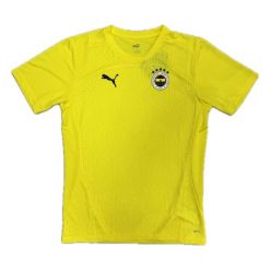 Koszulka treningowa Fenerbahçe 2024/25. Żółte bluzki damskie Puma, bez wzorów, sportowe, bez kołnierzyka, bez ramiączek. Za 251.00 zł.